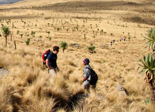 Ethio_danakil_tours_simien_mountain