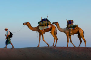 Danakil Safari Tours