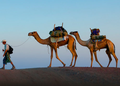 Danakil Safari Tours