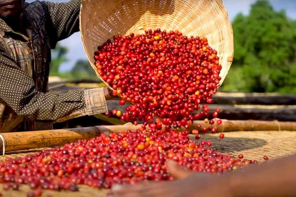 Western Ethiopia
